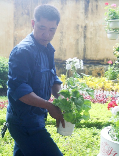 Hoa “thập diện mai phục” phố! - 5