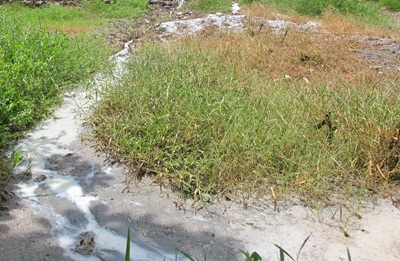 Thêm kho chứa mủ của công ty cao su đầu độc người dân - 4 Thêm kho chứa mủ của công ty cao su đầu độc người dân - 4