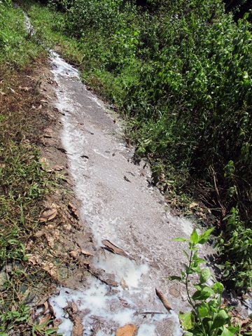 Thêm kho chứa mủ của công ty cao su đầu độc người dân - 1 Thêm kho chứa mủ của công ty cao su đầu độc người dân - 1