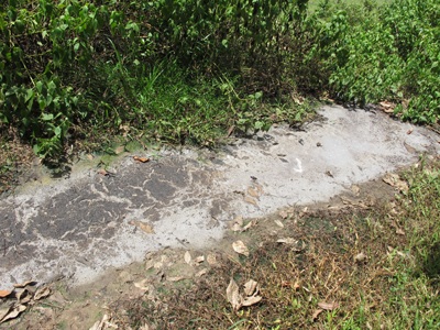 Thêm kho chứa mủ của công ty cao su đầu độc người dân - 5 Thêm kho chứa mủ của công ty cao su đầu độc người dân - 5