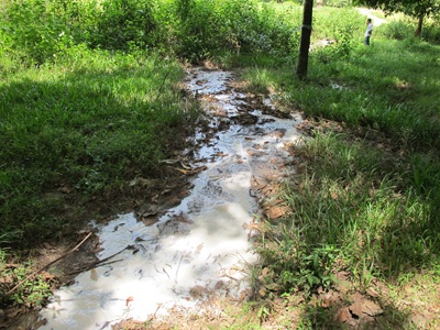 Thêm kho chứa mủ của công ty cao su đầu độc người dân - 6 Thêm kho chứa mủ của công ty cao su đầu độc người dân - 6