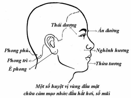 Xoa huyệt đạo chữa cảm mạo, nhức đầu - 2 Xoa huyệt đạo chữa cảm mạo, nhức đầu - 2