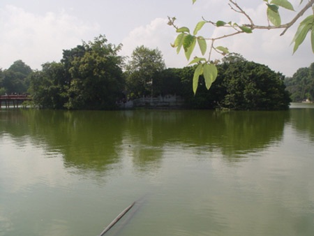 Cụ Rùa nổi trước ngày khai mạc Đại lễ  - 1