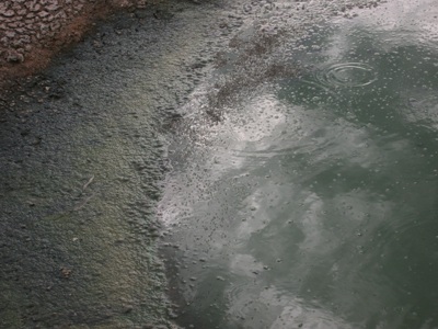 Dân bức xúc, tự  “xử lý” doanh nghiệp gây ô nhiễm  - 1