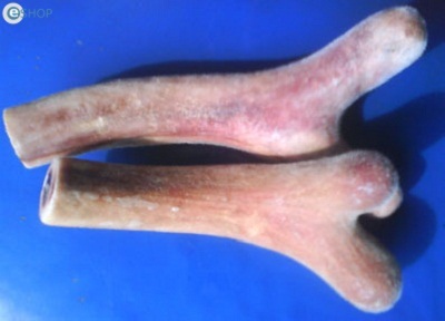 Ai nên sử dụng nhung hươu? - 3 Ai nên sử dụng nhung hươu? - 3