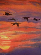 Chùm ảnh: “Nhớ mùa thu Hà Nội” - 10