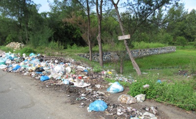 Đi tìm lời giải cho bài toán rác thải nông thôn - 1