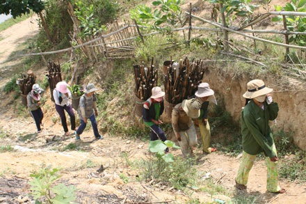 Cô dâu 13 tuổi và những “lời ru buồn” - 3