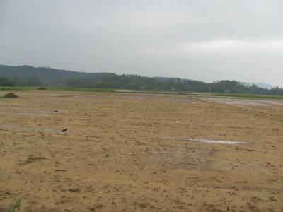 Lũ lớn gây nguy cơ vỡ đập thuỷ điện Hố Hô  - 4