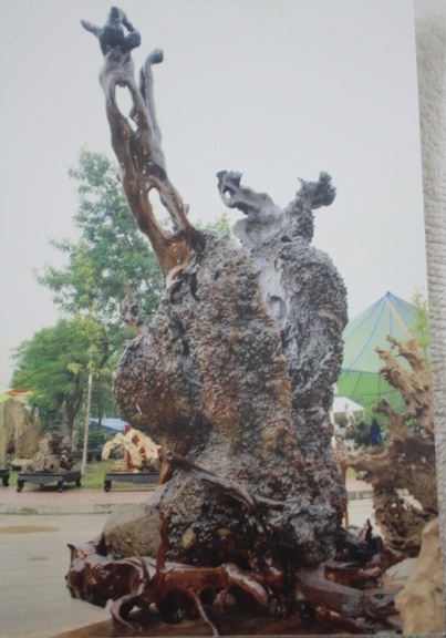 Gốc đại thụ 2100 năm tuổi trưng bày tại triển lãm dịp Đại lễ  - 2