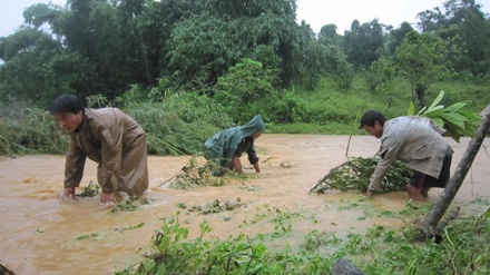 Bốn thanh niên xả thân cứu người trong lũ dữ - 2 Bốn thanh niên xả thân cứu người trong lũ dữ - 2