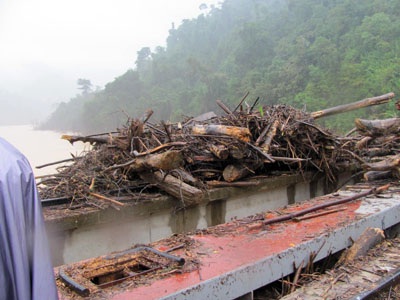 “Mực nước đập thủy điện Hố Hô đã nằm trong tầm kiểm soát” - 4