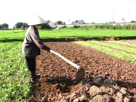 Ngọc Lãng biếc xanh - 7 Ngọc Lãng biếc xanh - 7