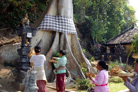 “Một thoáng Đông Nam Á” tại Bảo tàng Dân tộc học Việt Nam  - 7