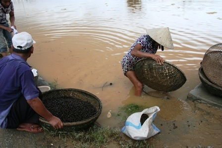 Lặn ngụp mưu sinh ngày lũ - 4