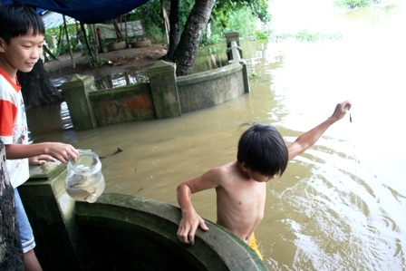 Lặn ngụp mưu sinh ngày lũ - 6