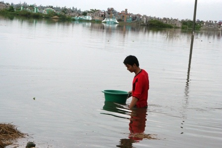 Lặn ngụp mưu sinh ngày lũ - 7