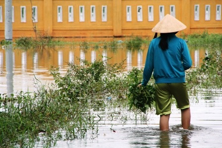 Lặn ngụp mưu sinh ngày lũ - 8