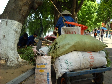 Những cống hiến thầm lặng cho sự trang hoàng của đại lễ - 1 Những cống hiến thầm lặng cho sự trang hoàng của đại lễ - 1
