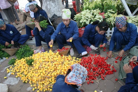 Những cống hiến thầm lặng cho sự trang hoàng của đại lễ - 6 Những cống hiến thầm lặng cho sự trang hoàng của đại lễ - 6