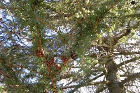 Xem Nokia N8 “so tài” chụp ảnh với Canon 550D  - 28