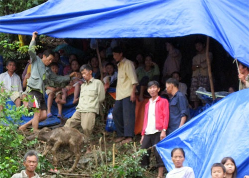 28 người chết vì lũ ở Quảng Bình - 1