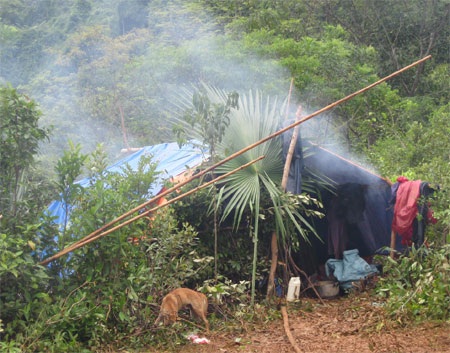 28 người chết vì lũ ở Quảng Bình - 6