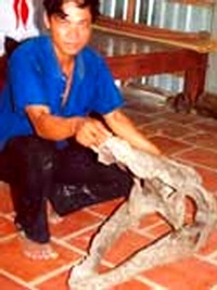 Thực hư về bộ xương “quái thú” ở Vĩnh Long - 2 Thực hư về bộ xương “quái thú” ở Vĩnh Long - 2