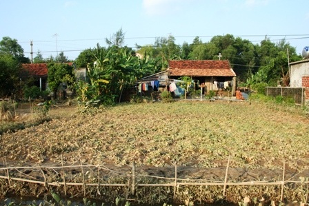 Qua QL1A, thấy nỗi đau người dân Quảng Bình - 15