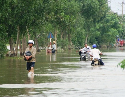 Dịch vụ ghe thuyền, sửa xe ra sức “chặt chém” dân nghèo - 3