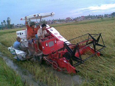 Cơ giới hóa thu hoạch lúa ở Nghệ An: Khó triển khai vì chưa phù hợp - 3