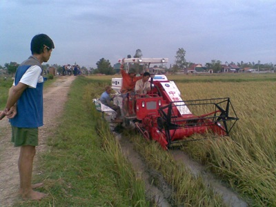 Cơ giới hóa thu hoạch lúa ở Nghệ An: Khó triển khai vì chưa phù hợp - 2