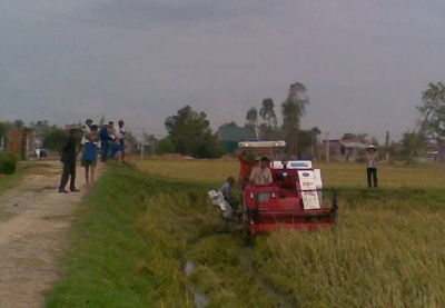 Cơ giới hóa thu hoạch lúa ở Nghệ An: Khó triển khai vì chưa phù hợp - 1