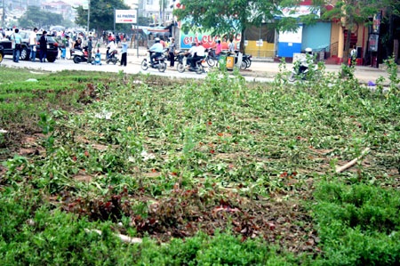 Mỹ Đình chìm trong "biển" rác sau đêm hội ngàn năm - 14 Mỹ Đình chìm trong "biển" rác sau đêm hội ngàn năm - 14