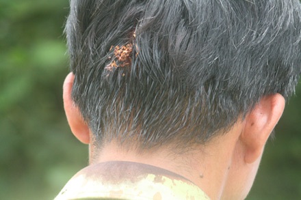 Thăm lại những chiến sĩ giữ rừng Núi Mang - 5