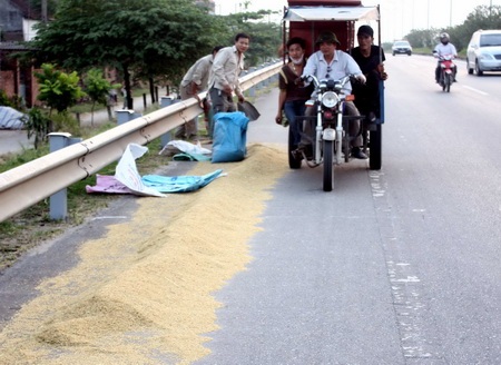 Quốc lộ 1A trở thành sân phơi thóc - 3