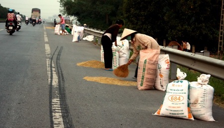 Quốc lộ 1A trở thành sân phơi thóc - 4