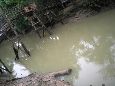 Nguy cơ dịch bệnh từ dòng suối bị “đầu độc” - 1