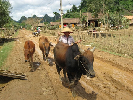 Rũ bùn đứng dậy với hai bàn tay trắng - 11 Rũ bùn đứng dậy với hai bàn tay trắng - 11