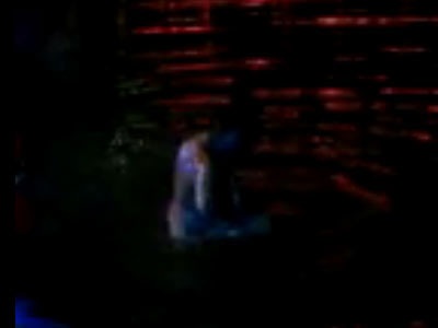 Làn sóng phản đối cô gái gây sốc ở hồ Gươm - 1