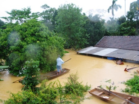 Không để người nào bị thiệt mạng vì đói, rét trong lũ - 1