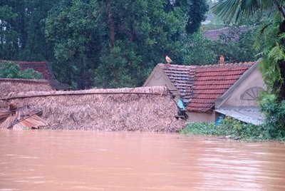Cận cảnh khó khăn chồng chất, lũ nối lũ ở Hương Khê (kèm video) - 11