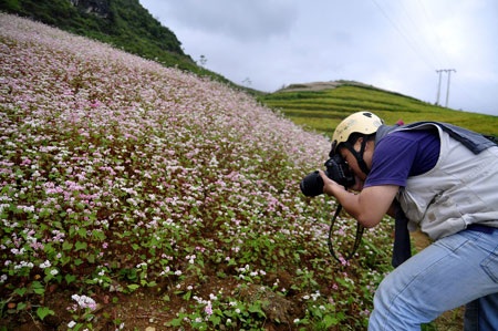 Chùm ảnh Tây Bắc lộng lẫy mùa hoa tam giác mạch - 4