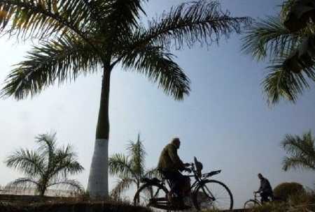 Cụ bà 125 tuổi sống thọ nhất Trung Quốc - 1