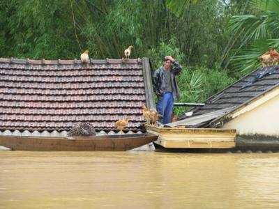 Người dân vẫn vật lộn trong tâm lũ (kèm Video) - 3