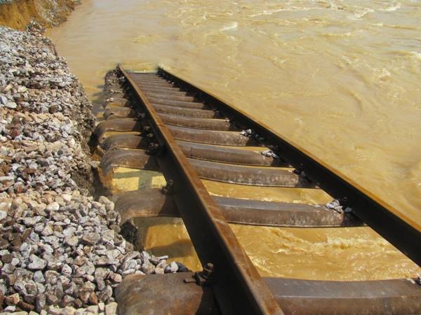 Vỡ đê ở Hà Tĩnh, hàng ngàn hộ dân đối mặt với hiểm nguy - 8