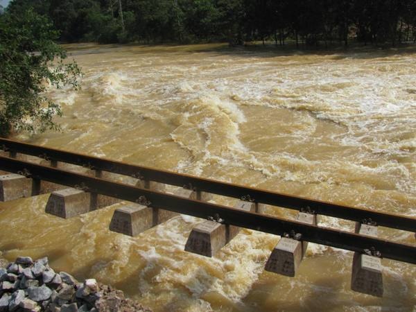 Vỡ đê ở Hà Tĩnh, hàng ngàn hộ dân đối mặt với hiểm nguy - 6