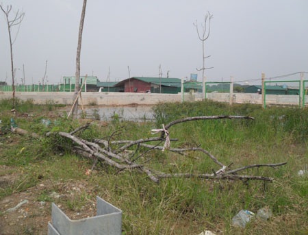 Nhếch nhác đại lộ hiện đại nhất Việt Nam - 14