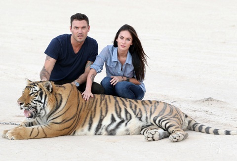 Megan Fox chơi với hổ - 2 Megan Fox chơi với hổ - 2