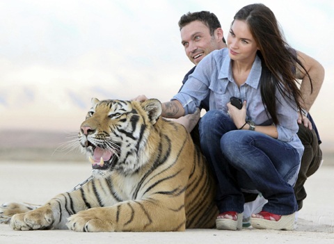 Megan Fox chơi với hổ - 3 Megan Fox chơi với hổ - 3